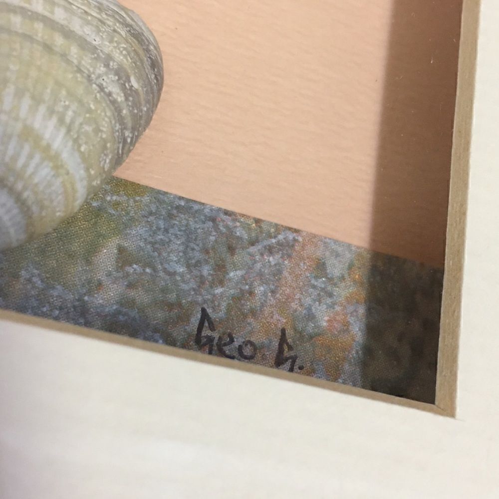 Quill Art Set Artist Signed Floral Shell Motif in Shadow Box - Picture 15 of 16